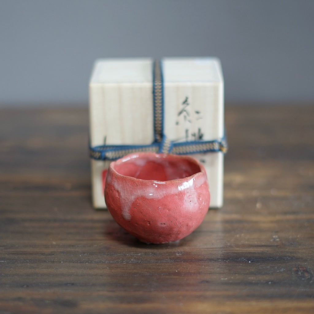 Salmon GUINOMI Sake Cup #HT432