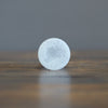 White Bud Vase #YY1A