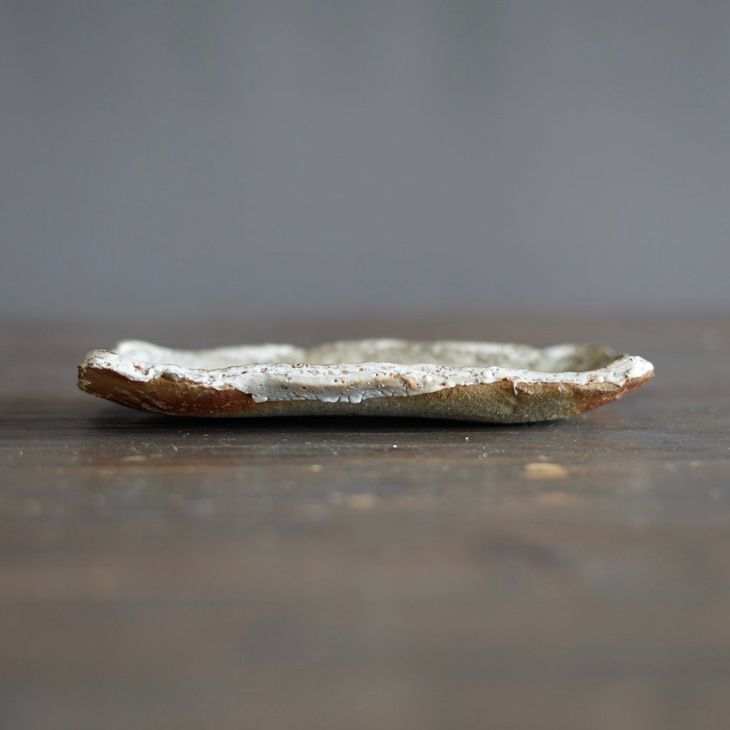 Small Rectangular Plate #FQ722E