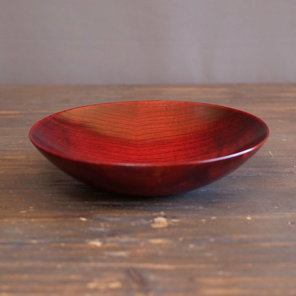 Red Japanese Zelkova Lacquer Shallow Bowl #G4711D