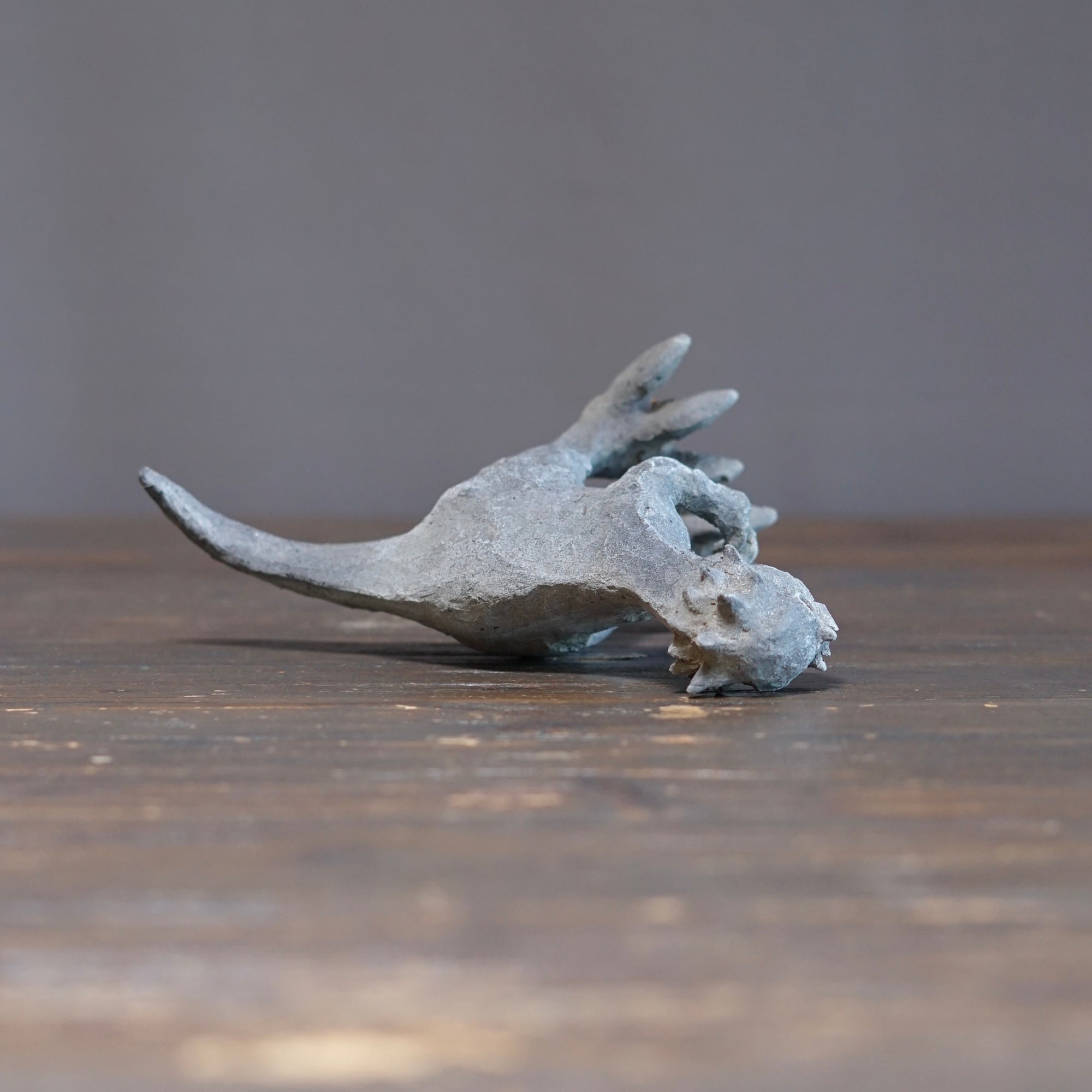 Dracorex #SY128