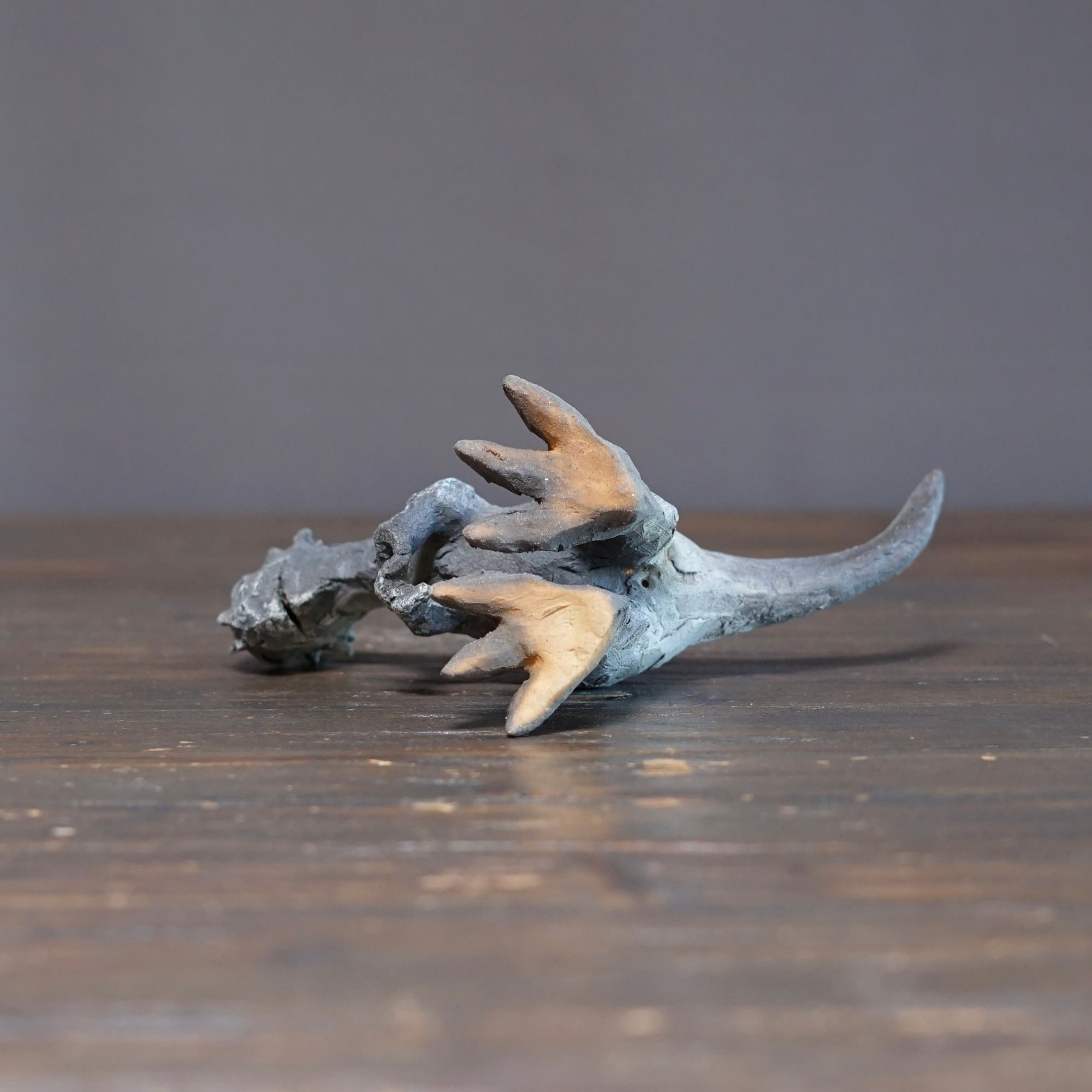 Dracorex #SY128