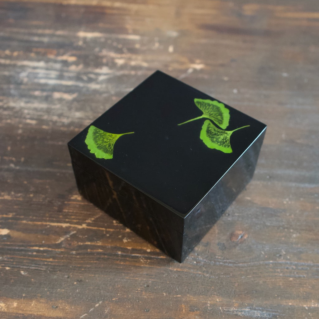 SQ Box  Ginkgo / Black
