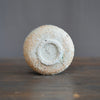 SHIGARAKI Clay Tea Ceremony Bowl #FQ708