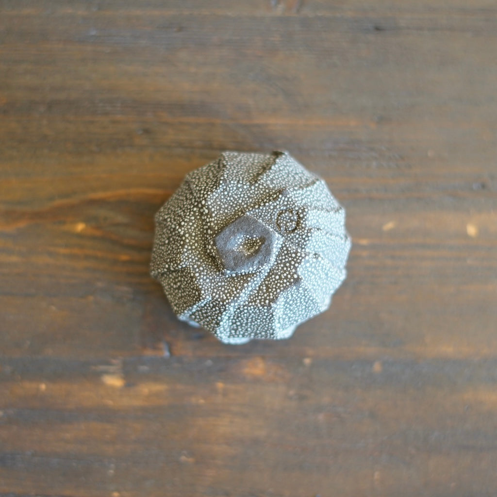 SORIN GUINOMI Sake Cup #NMS89A