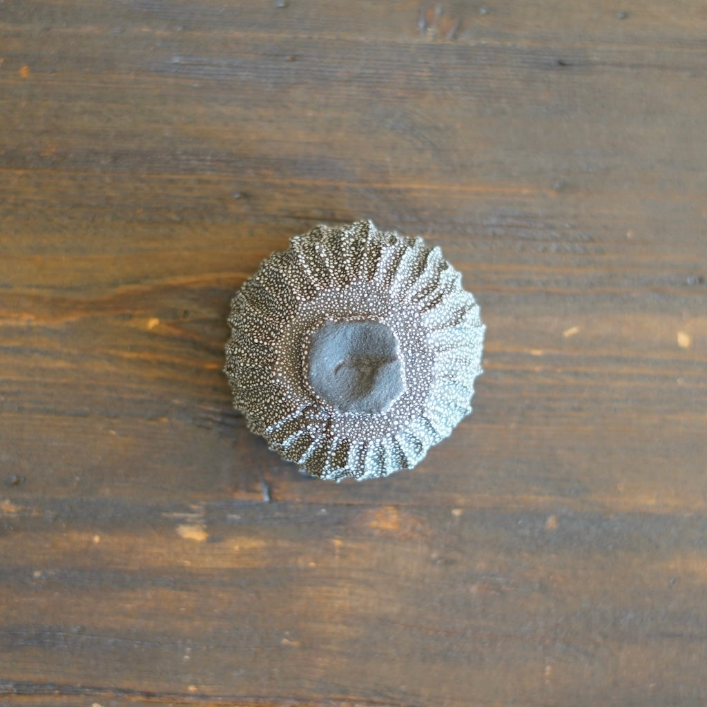 SORIN GUINOMI Sake Cup #NMS82