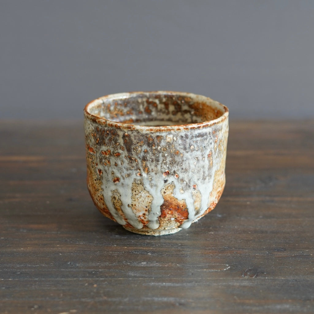 Wood Fired Tea Bowl #FQ724C