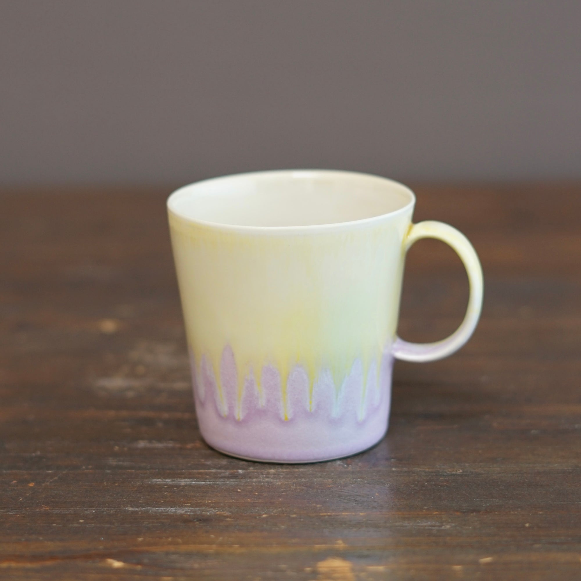 Two Tone Regular Mug #RM10