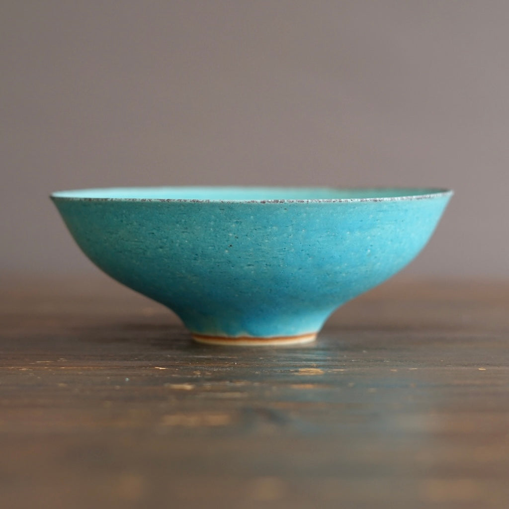 Noodle Bowl #MS12B