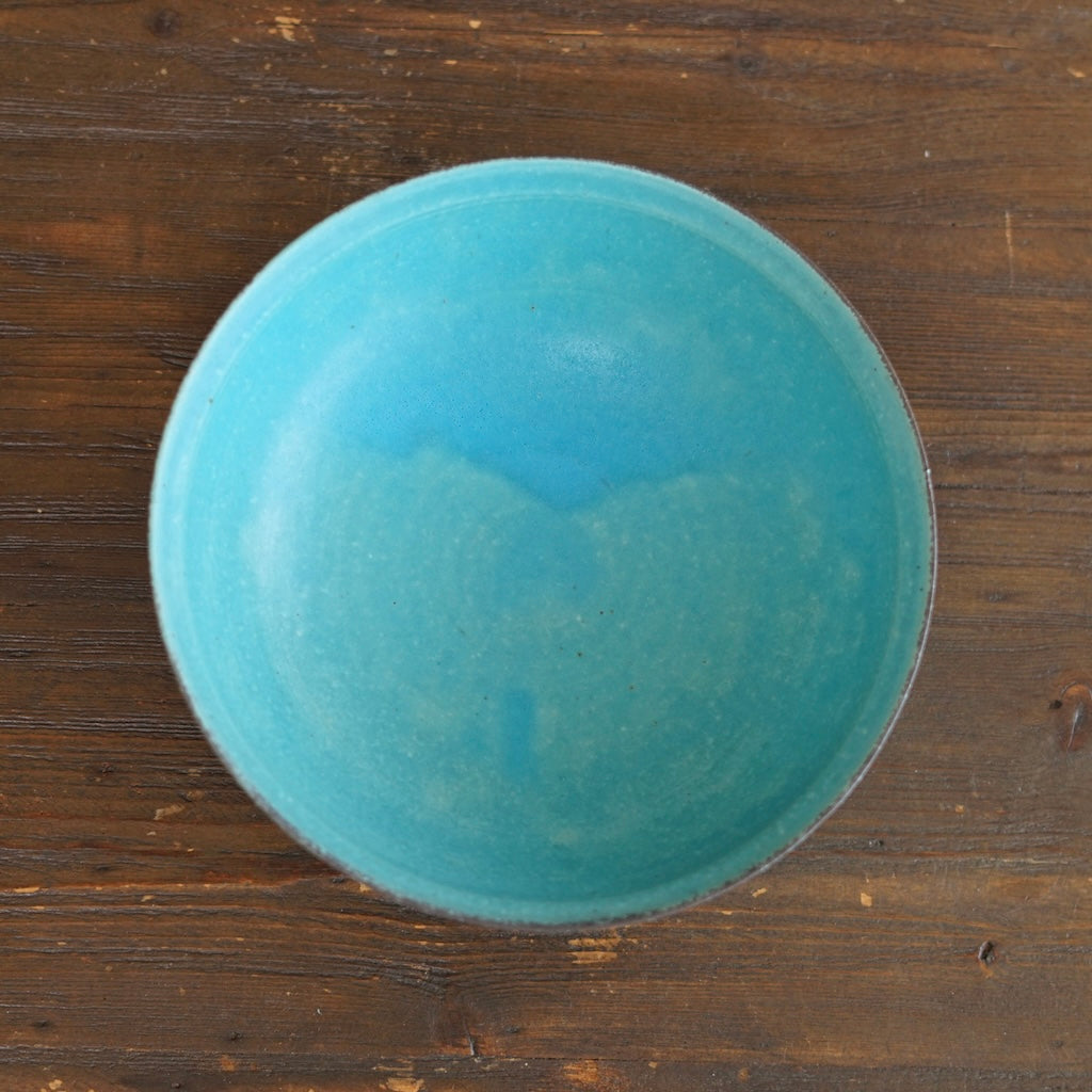 Noodle Bowl #MS12B