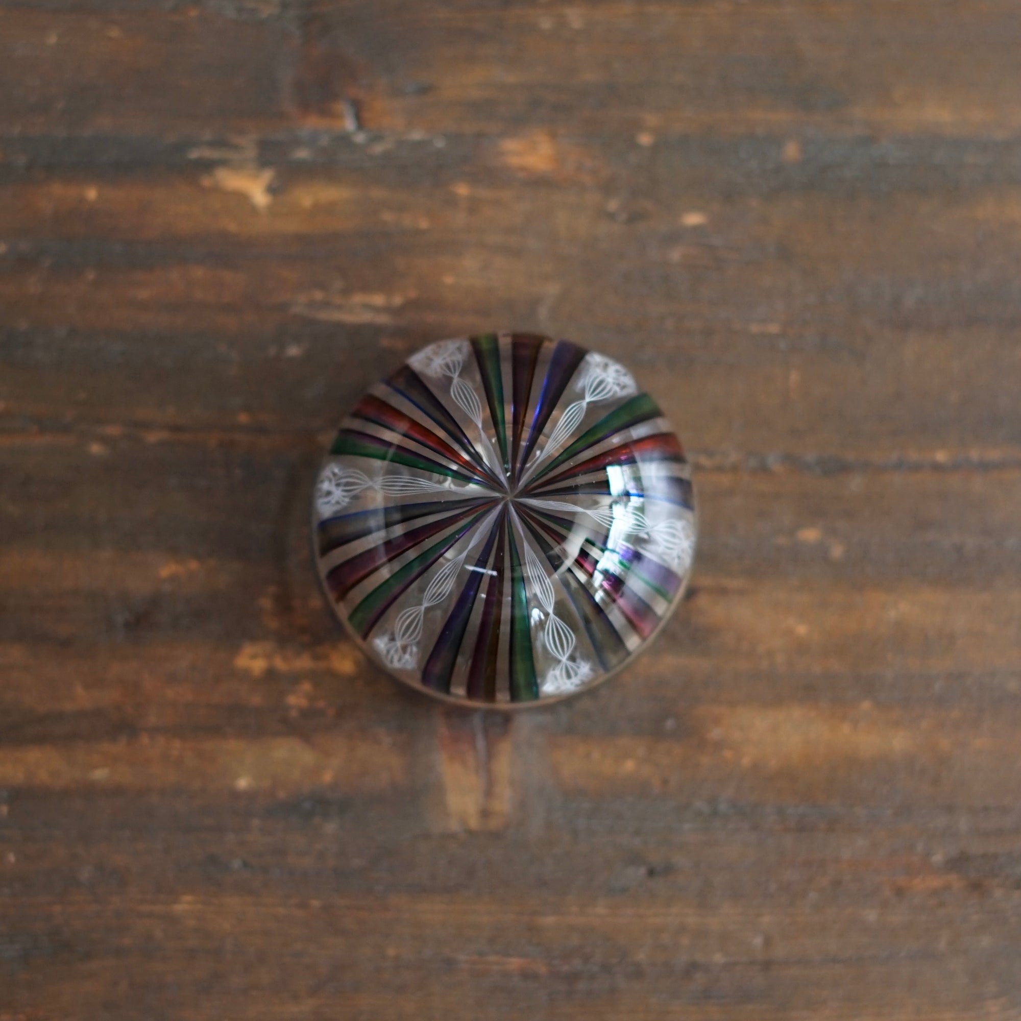 Rainbow Lace GUINOMI Sake Cup #NS30