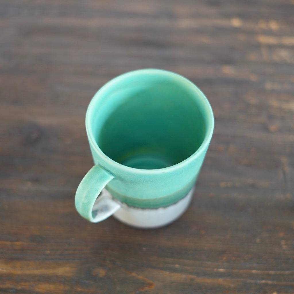 Two Tone Regular Mug #RM24