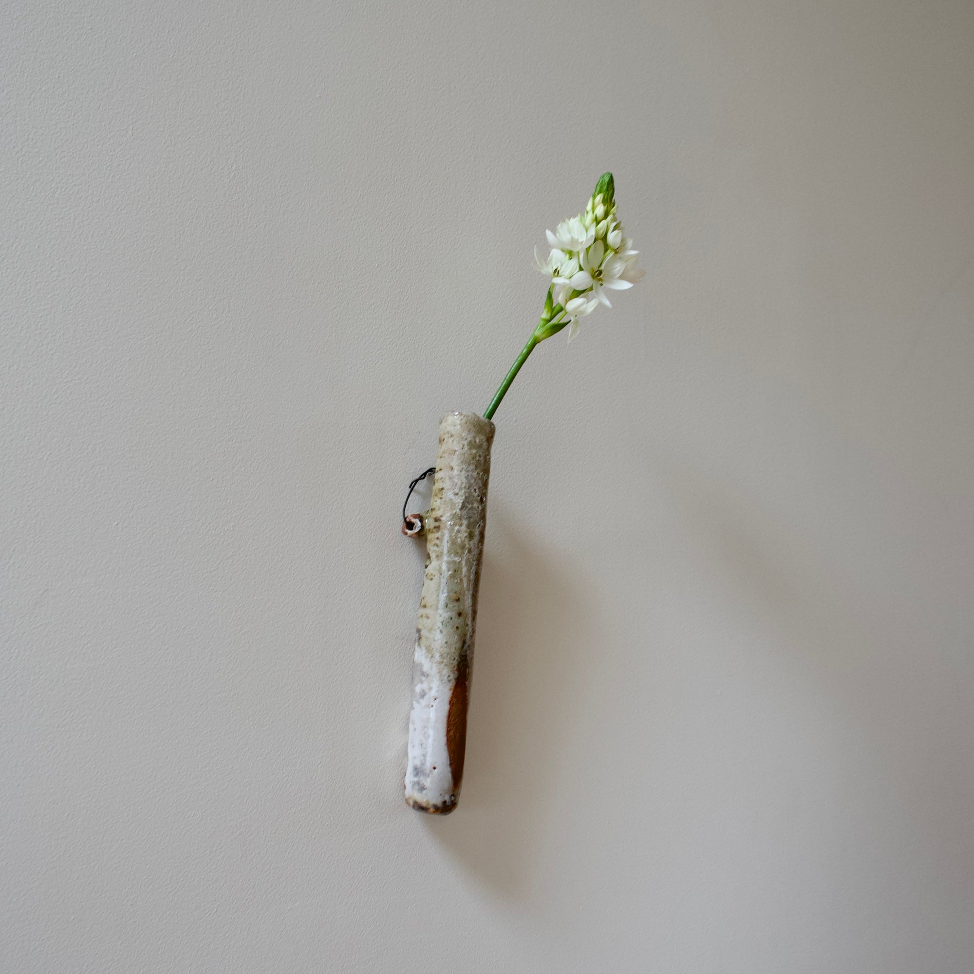 Hanging Flower Vase #FQ653C