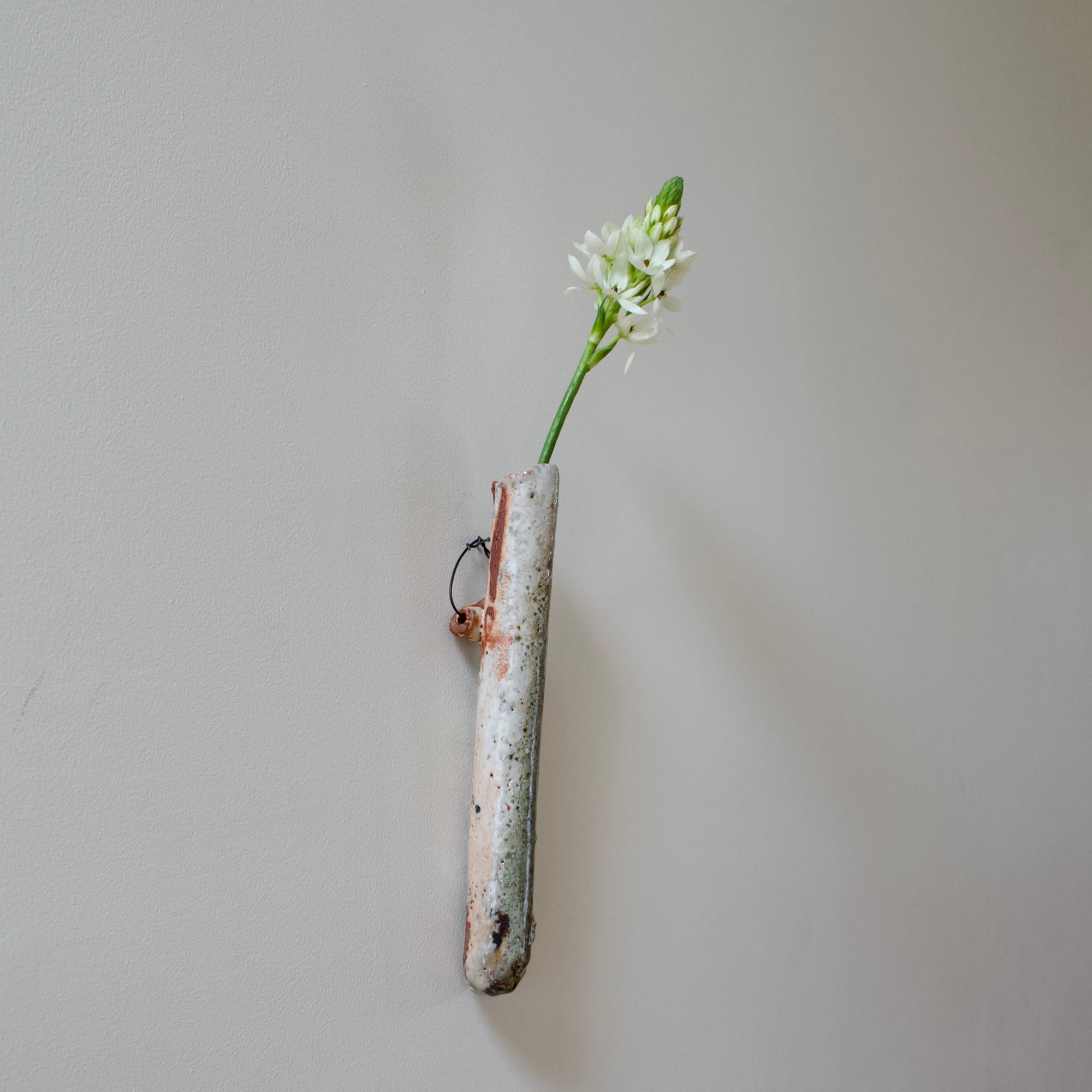 Hanging Flower Vase #FQ653A