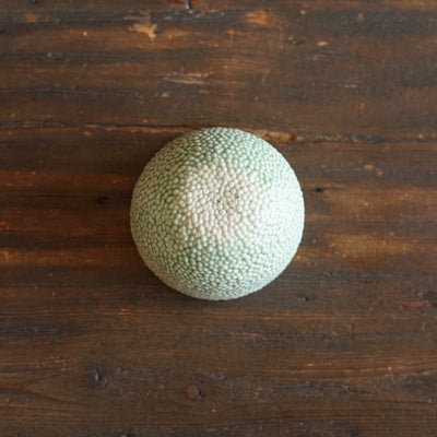 Green Caviar Small Cup #LK914B