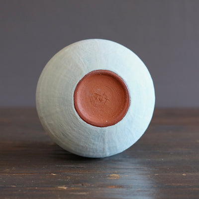 Robin's Egg / Orange Dino Vase #JT439G