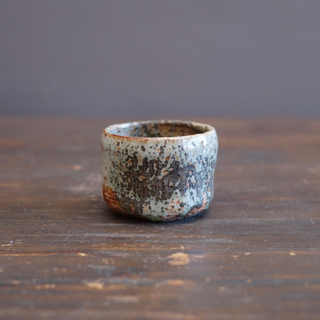 Wood Fired YUNOMI Tea Cup #FQ776D