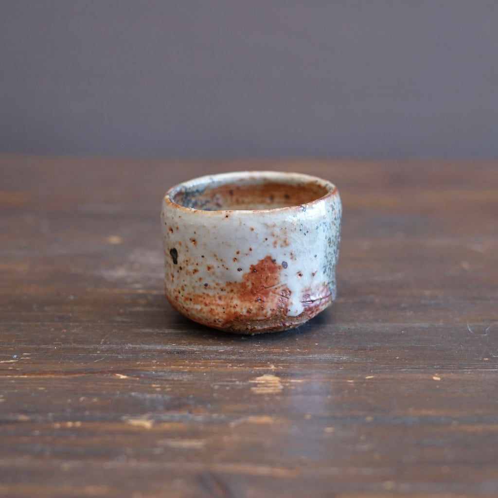 Wood Fired YUNOMI Tea Cup #FQ776D