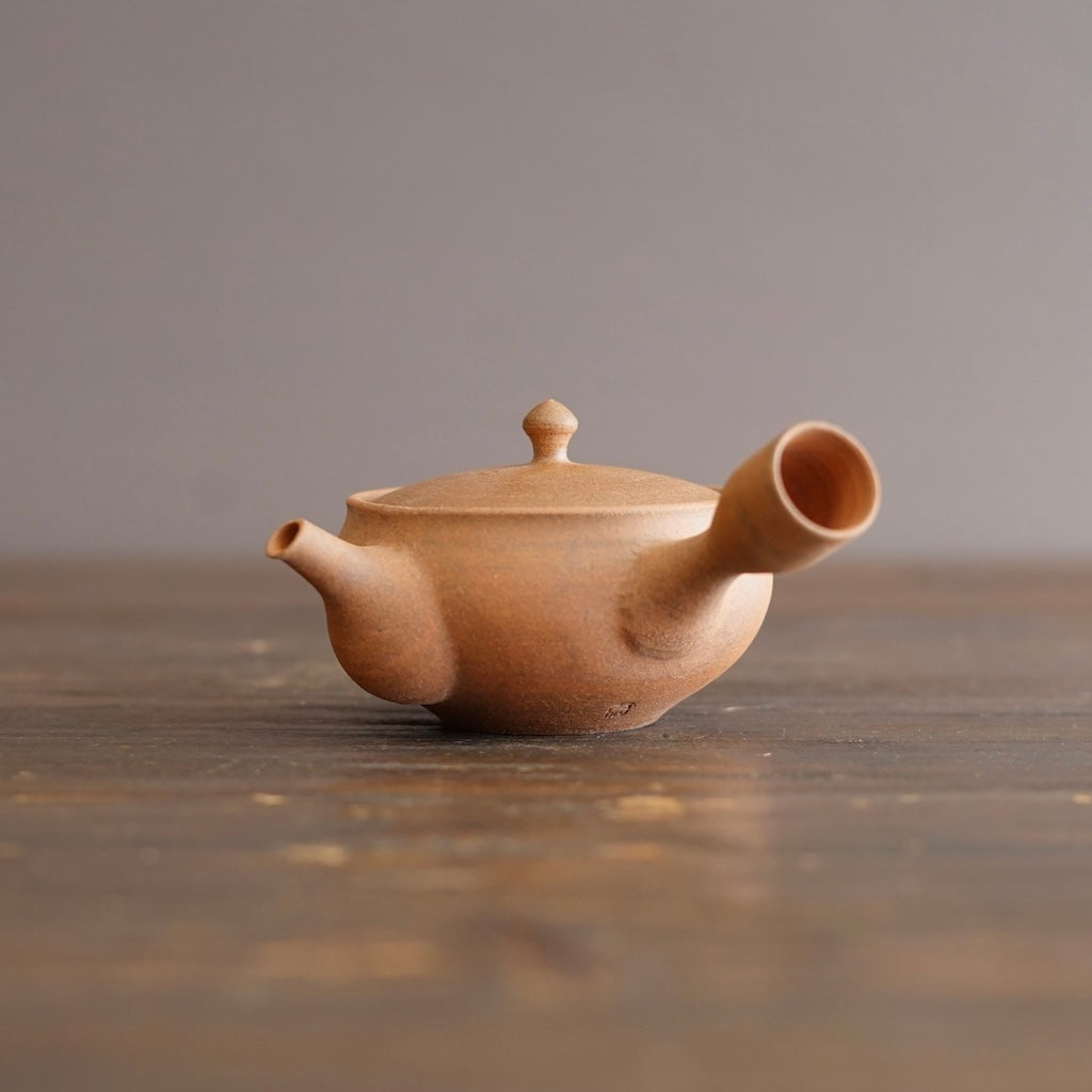 'Flat NAMBAN' KYUSU Teapot #KJ0107
