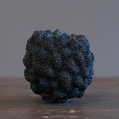 Black Sea Urchin#LK901