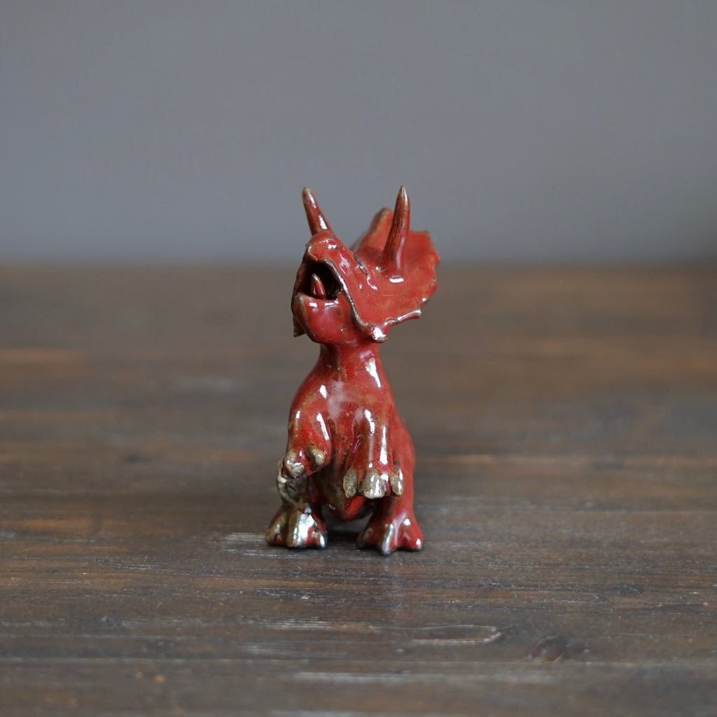 Juvenile Triceratops #SY508