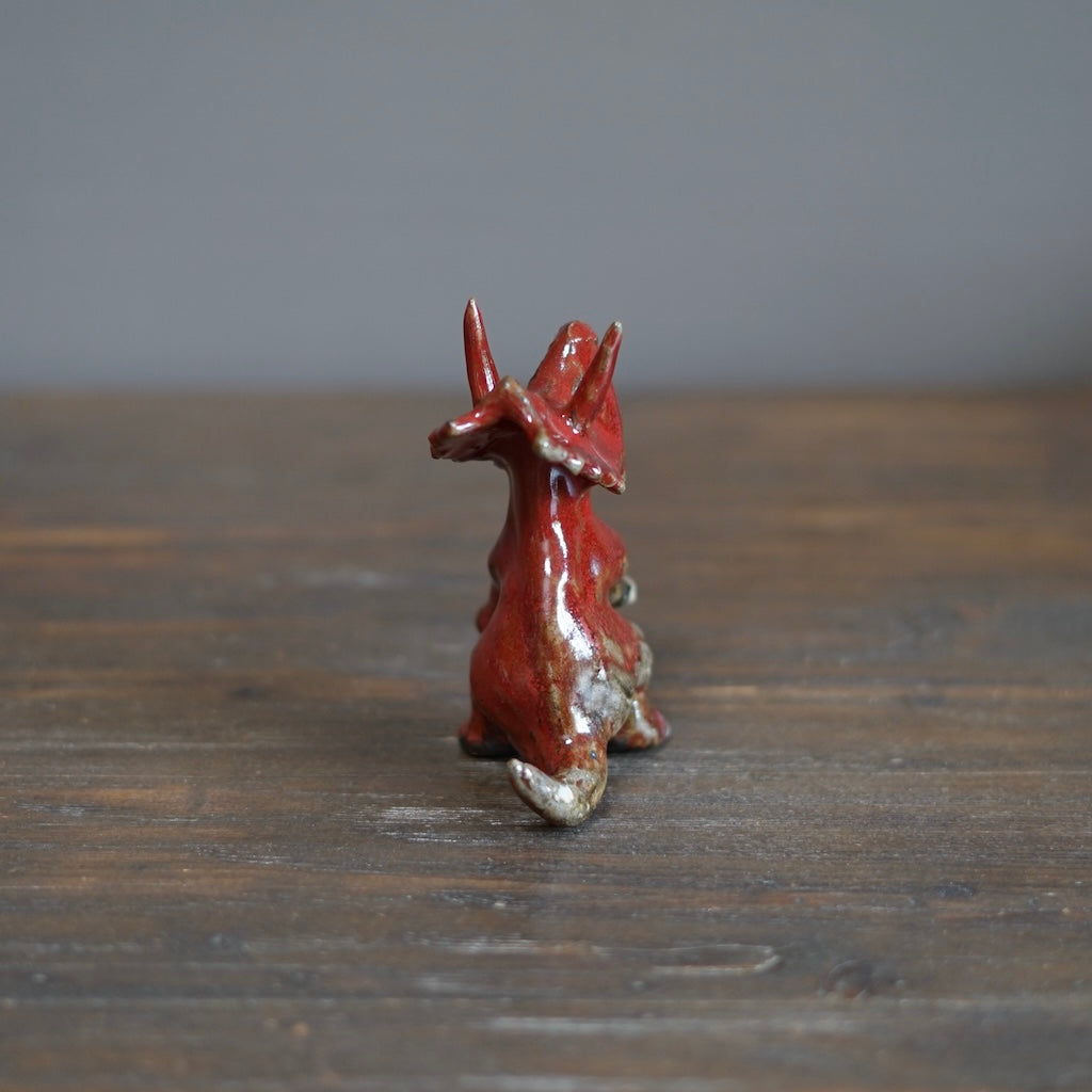 Juvenile Triceratops #SY508