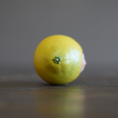 Lemon Mascot #OKA18B