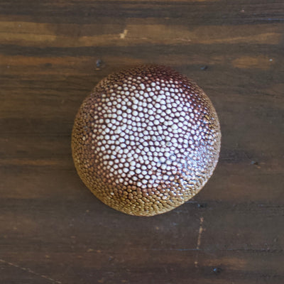 Brown Caviar Mini Bowl #LK768G