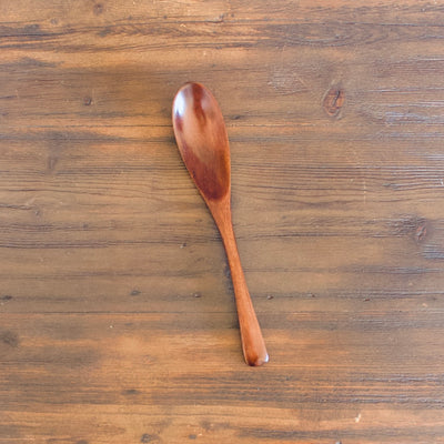 Brown Soup Spoon #E966