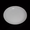 Shell Line Dinner Plate set of 6