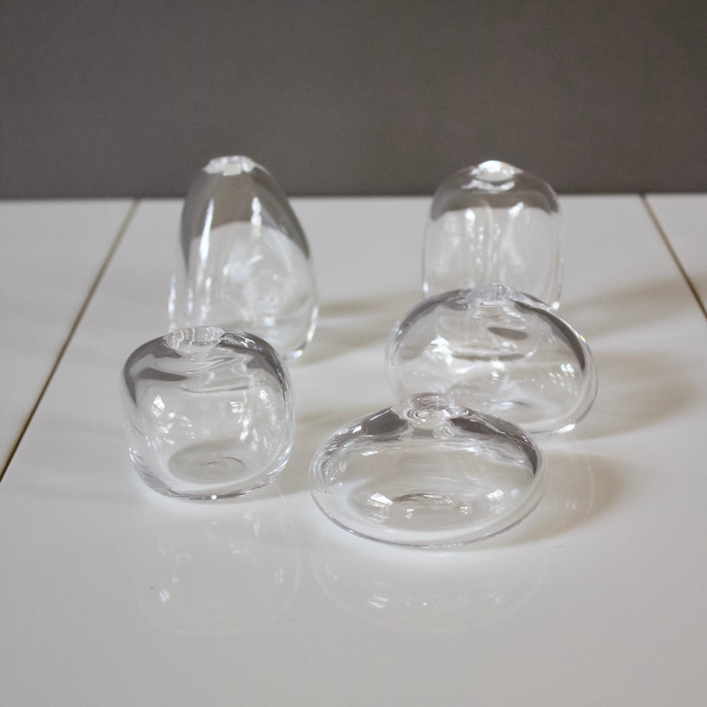 Clear Glass Bud Vases set of 5